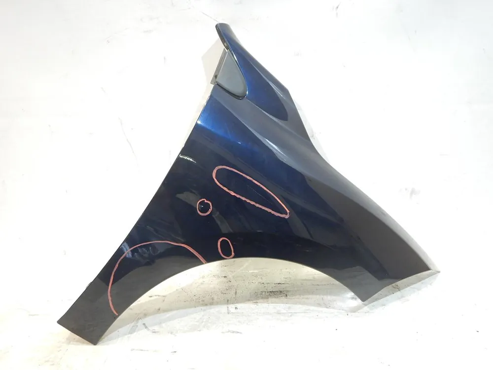 Preis Gesenkt Kotflügel gebraucht RENAULT MEGANE III (11/08-) Baujahr 2009